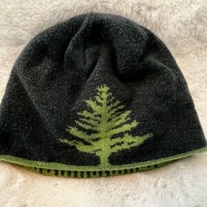 Super nice Patagonia beanie.